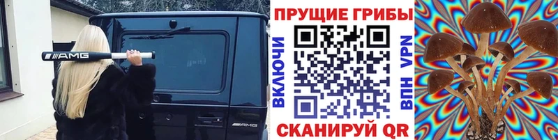 OMG tor  маркетплейс Telegram  Галлюциногенные грибы мицелий  сколько стоит  Буй 